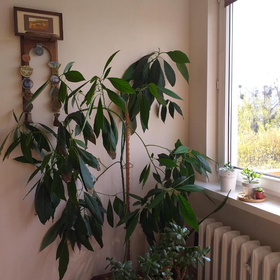 Wakacje Nad Morzem Gdańsk Exteriör bild